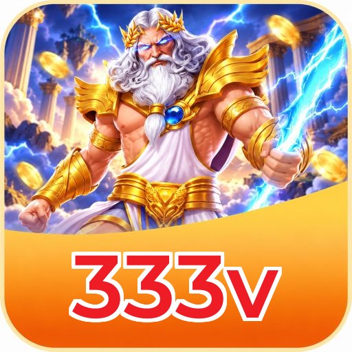 333v Key Features
